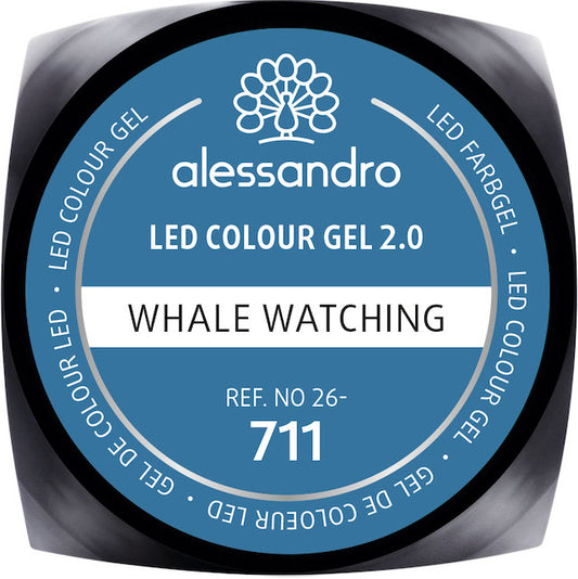 COLOUR GEL 711 - WHALE WATCHING