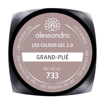 COLOUR GEL 733 - GRAND PLIE'