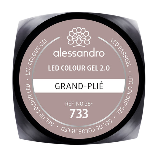 COLOUR GEL 733 - GRAND PLIE'